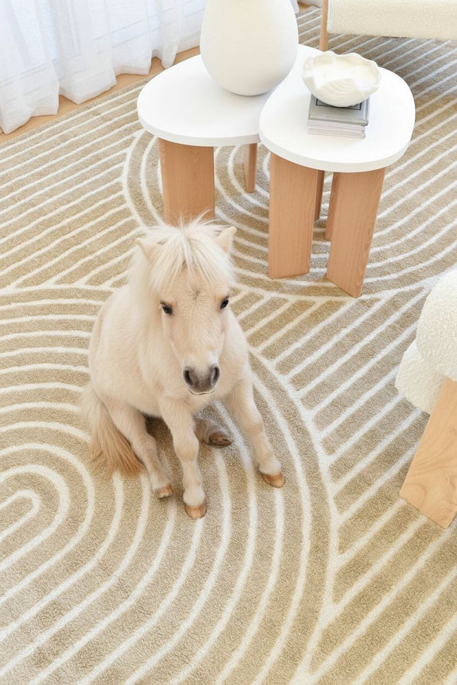Coco Arch Cocoa Modern Rug - Turkish-inspired modern rug from Treasures of Turkey