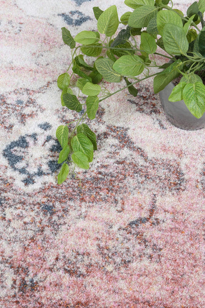 Zazaa Ombre Vintage Rug Brand Ventures